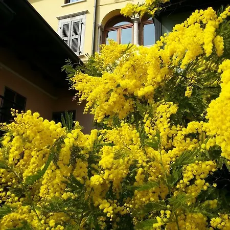 Omas Haus * טוסקולנו מדרנו